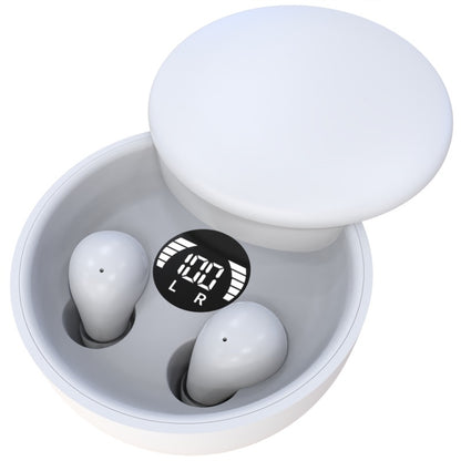 Homely Micro Earbuds